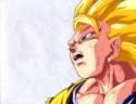 goku3livperp.jpg