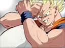 gokuincassa.jpg