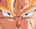 gokuserio.jpg