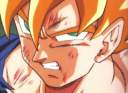 gokusoffre.jpg